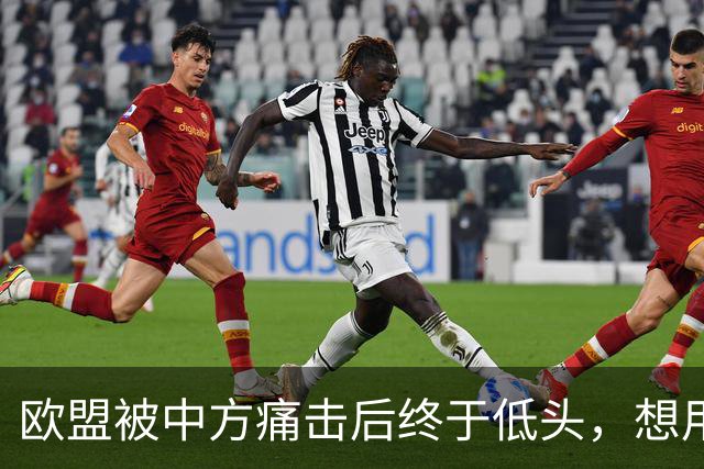 欧盟被中方痛击后终于低头，想用一换一来救阿斯麦供应商