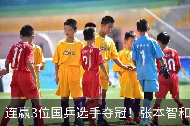 连赢3位国乒选手夺冠！张本智和面向林诗栋的粉丝，展示日本国旗
